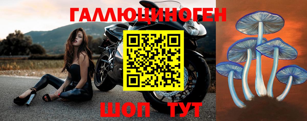 Апшеронск  Псилоцибиновые грибы GOLDEN TEACHER  купить закладку  Вход с VPN 