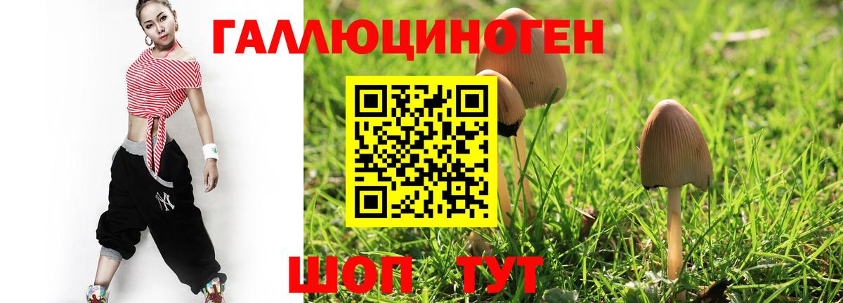 Галлюциногенные грибы мухоморы Апшеронск